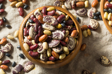 Raw Dried Organic Bean Assortment