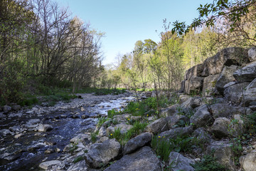 Nature background. River in the forest in suuny day