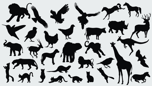Collection of vector detailed silhouettes of animals