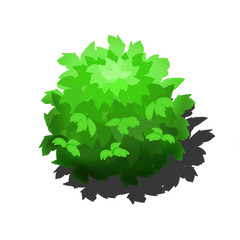 drawing illustration bush with green leaves
