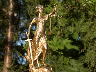 Law, Themis Golden Goddess of Justice