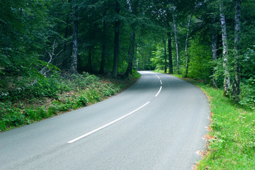 The winding road named "Beekhuizenseweg" in the Dutch forest "Veluwe" near the city Arnhem, The Netherlands.