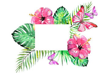 tropical palm tree, leaves,summer time