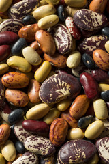 Raw Dried Organic Bean Assortment