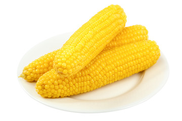 Corn cobs isolated on a white background