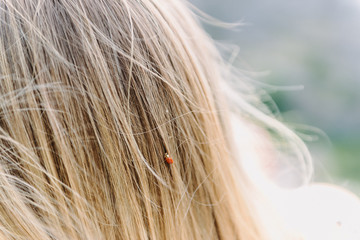 Ladybug in a woman’s hair.