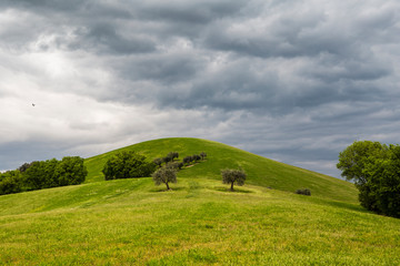 Green hills before the rain.