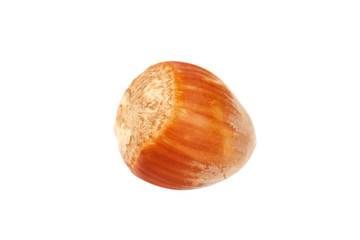 Hazelnut on a isolated on white background