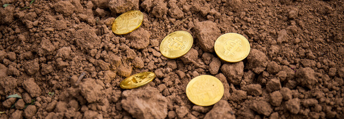 Bitcoin cryptocurrency, the future of business and payments. Rising value of bitcoin. Virtual currency. Excavation of gold coins from the ground