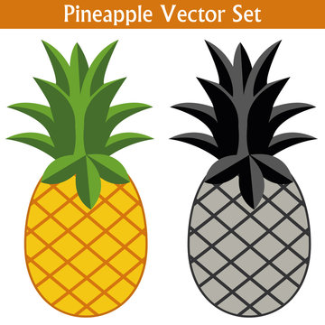 Set of cartoon pineapple vector. Black and white, and colorful pineapples on isolated white background. Well organized Eps 10 file format.