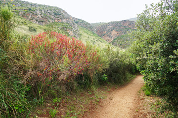 Beautiful Trekking path in Nature Reserve Zingaro