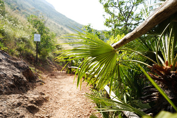 Beautiful Trekking path in Nature Reserve Zingaro