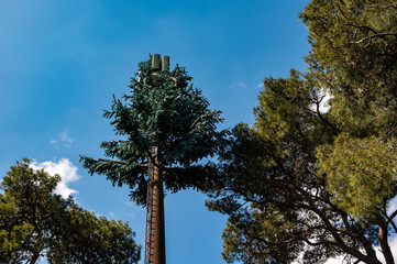 Fototapeta premium 5G camouflage