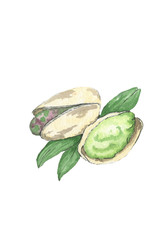 Naklejka premium Hand drawn watercolor pistachio nuts with leaves isolated on white background