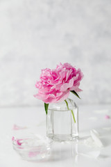 Pink peonies in a small vase on light background