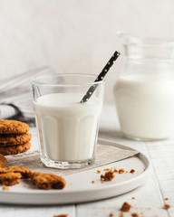  A glass of milk, cookies, a jug of milk. The concept of milk, the use of dairy products, farm products. Copy space.