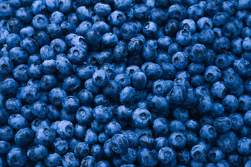 Fresh blueberry background. Texture blueberry berries close up.