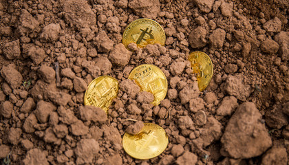 Bitcoin cryptocurrency, the future of business and payments. Rising value of bitcoin. Virtual currency. Excavation of gold coins from the ground