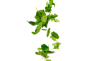 Fresh spinach leaves as background.