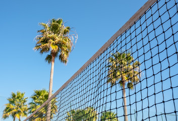Fototapeta na wymiar Conceptual sporty view tennis net on palm tree background.
