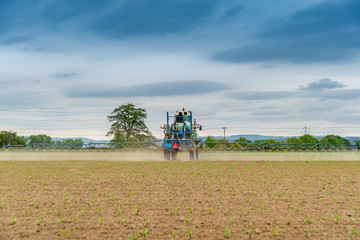 tractor spraying chemicals on the field for better harvesting and pest control. copy space