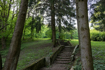 Stairway in the forest in a suburban recreational and relaxing location in the Bratislava Forest Park