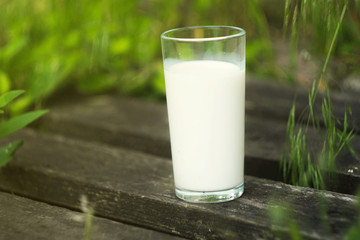 Glass of milk stand on wooden desks. Green meadow background. International milk day. 1 June. Fresh bio milk 