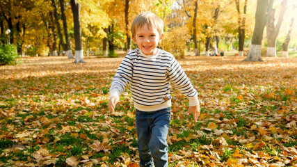 Portrait of cheerful smiling little boy running at autumn forest or park