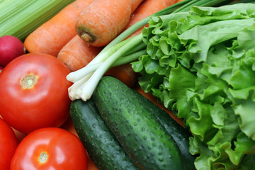 fresh vegetables on the table