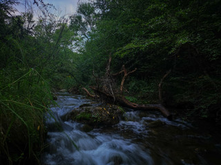 Obraz premium river in the forest