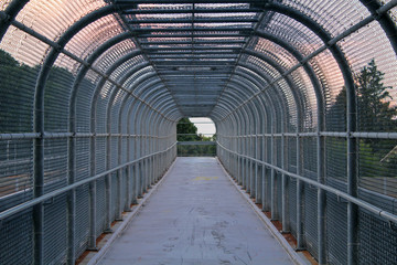 pedestrian overpass in the summer