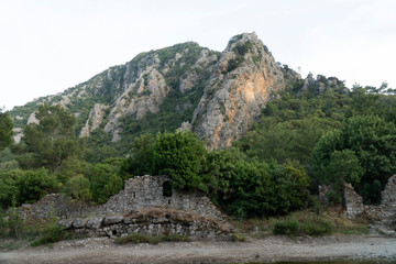 mountain landscape with trees