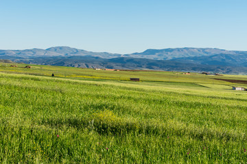 Obraz premium Beautiful scenic views of green fields and mountains in the background from The Aures mountains in Algeria