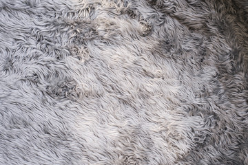 Close view long hair grey carpet rug texture 