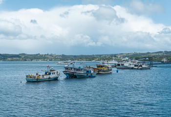 boats in the harbor