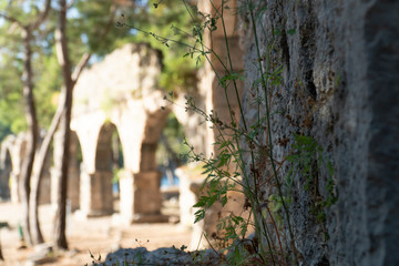 view of the ancient city of jerusalem