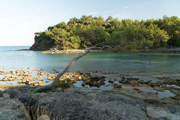 beach in the morning