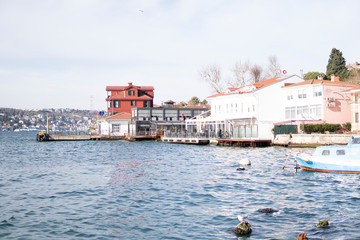 view of the old town of rovinj croatia
