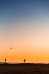A verticled frame of the coastal sea line in the sunset golden light with the silhouettes of people engaged in recreation and health care activity - cycling, walking.