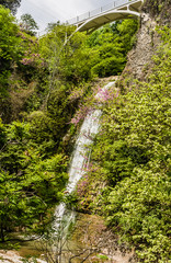 Landscape of waterfall in botanical garden of Tbilisi