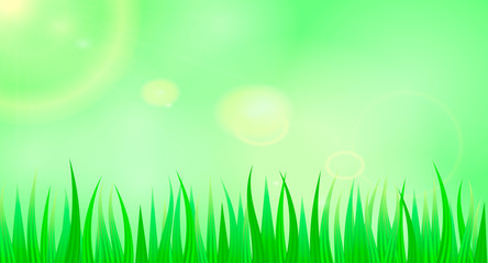 Green grass background. Vector illustration for poster or banner