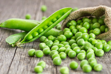 Fresh green peas with pod in burlap sack on wooden table, healthy green vegetable or legume ( pisum sativum )