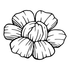 Summer garden peony flower icon, hand drawn style