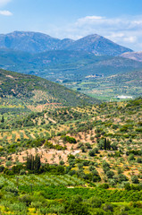 Fototapeta na wymiar Beautiful landscape near Mykines, center of Greek civilization, Peloponnese, Greece.