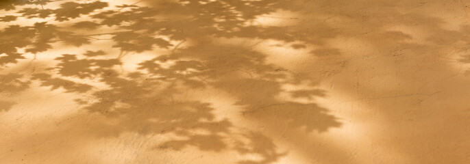 colored beige concrete wall selective focus. shadow from leaves texture background. banner