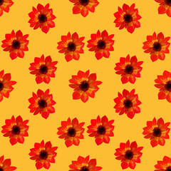 Seamless pattern of asters on yellow. Seamless floral pattern of gouache paints. Beautiful original pattern for design and decoration