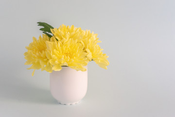 Bouquet of yellow mothers chrysanthemums in a white vase on a light blue background.