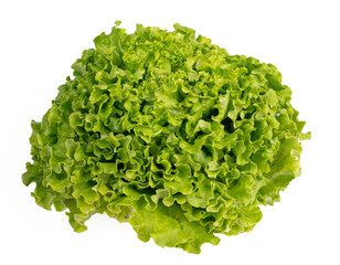 Fresh batavia salad