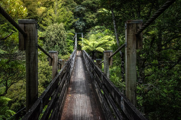Fototapeta na wymiar A cable bridge in a national park