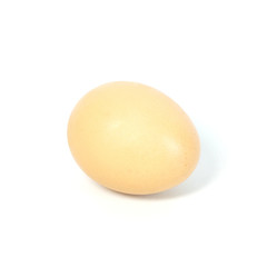 Egg isolated on white background